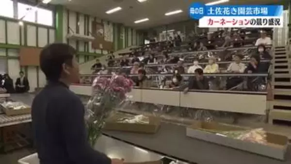 《5月10日は母の日！》カーネーションの競り盛況【高知】