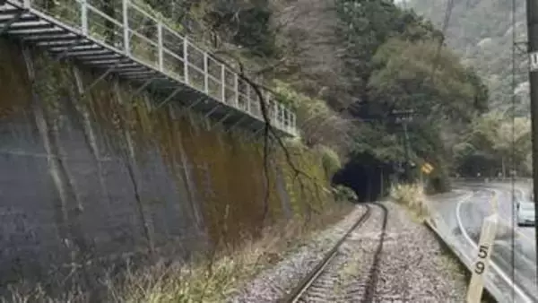 JR土讃線　倒木の影響で一部区間で一時運転見合わせ【高知】