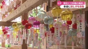 《参道に涼しげな音色》高知市の朝峯神社で風鈴祭り【高知】