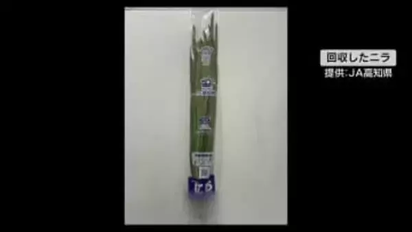 《香美市産のニラから基準値を超える残留農薬》高知を含む21都府県に約700キロ出荷【高知】