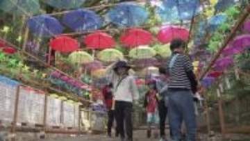 《色とりどり傘の花咲く》神社境内に傘回廊【高知】