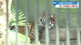 「《動物たちもぐったり》高知県内は高気圧に覆われ、21日も厳しい暑さ【高知】」の画像1