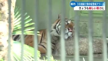 《動物たちもぐったり》高知県内は高気圧に覆われ、21日も厳しい暑さ【高知】