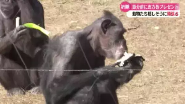 『めっちゃ近くてビックリした』節分を前に動物たちに恵方巻をプレゼント【高知】