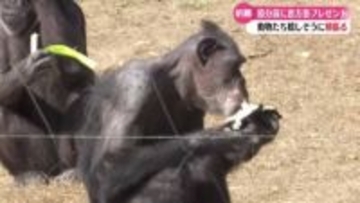 『めっちゃ近くてビックリした』節分を前に動物たちに恵方巻をプレゼント【高知】