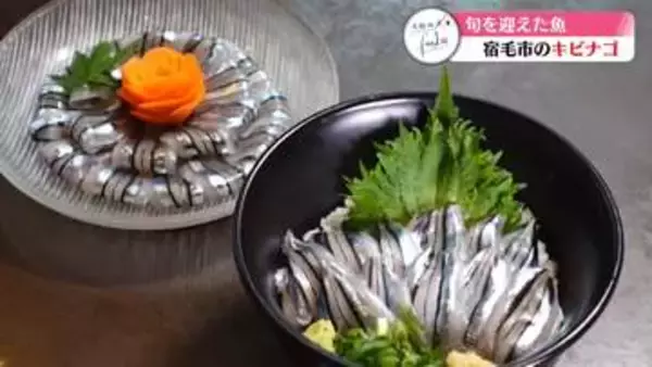 《特集・旬の季節を迎えた宿毛のキビナゴ》定番から地元で愛される味【高知】