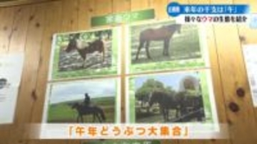 2026年の干支は『午』高知市でウマにちなんだ企画展を開催【高知】