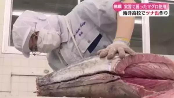 《生徒が釣って生徒が詰めた》高知海洋高校の手作りツナ缶づくり今年も始まる【高知】