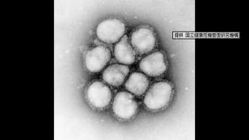 《なぜ？インフルエンザ再び急増中》注意点や今季流行の特徴を専門家に聞く【高知】