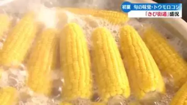《開店前から行列の店も》高知県いの町『きび街道』今シーズンもスタート【高知】