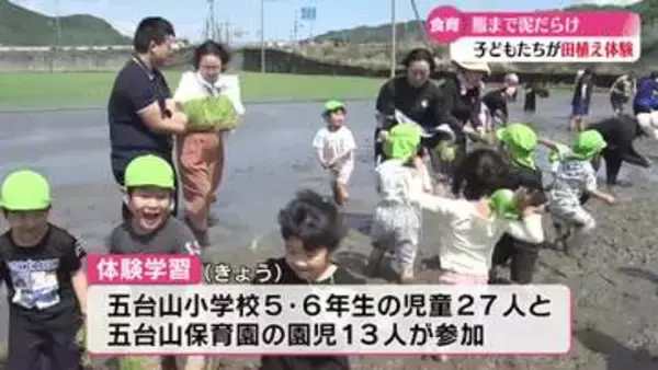 《泥だらけで楽しく食育》小学生と園児が田植え体験【高知】
