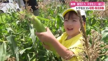 園児がトウモロコシ収穫・販売体験【高知】