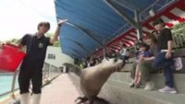 GWスタート  桂浜など高知県内の観光地も賑わい【高知】