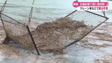 《台風で大量の枯葉・枝木》漁業に影響 7時間かけ湾内の漂流物を撤去【高知】