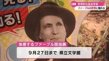 《体感するファーブル昆虫展》虫の不思議を楽しく学ぶ【高知】
