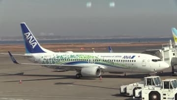 地方創生に取り組むANA 特別デザインの旅客機の運航を開始 高知県の花“ヤマモモ”も【高知】