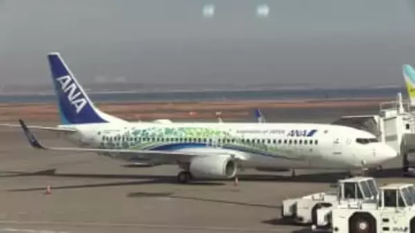 地方創生に取り組むANA 特別デザインの旅客機の運航を開始 高知県の花“ヤマモモ”も【高知】