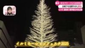 東洋電化中央公園に今年も巨大なクリスマスツリーがお目見え！【高知】