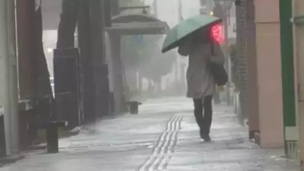 4月4日の強風大雨　高知県内で2500万円超の農業被害【高知】