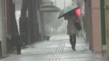 4月4日の強風大雨　高知県内で2500万円超の農業被害【高知】