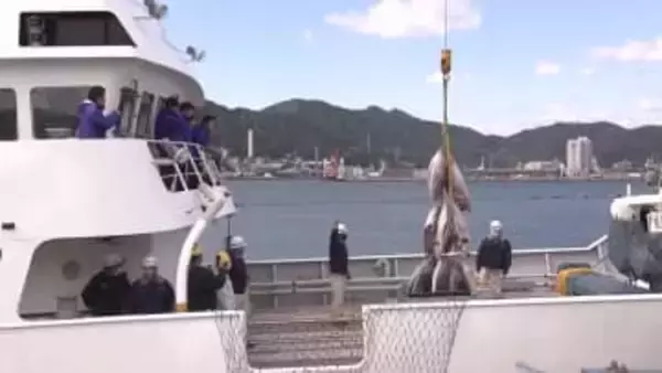 高知海洋高校の生徒 2か月ぶりに航海実習から帰港【高知】