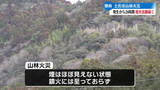 「土佐市山林火災 発生から約26時間 煙はほぼ見えないが鎮火に至らず 懸命の消火活動続く【高知】」の画像1
