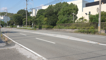 原付バイクが道路脇の電柱に衝突 運転手の男性意識不明の重体【高知】