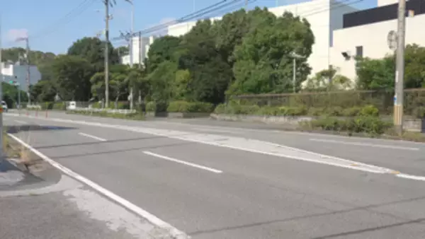 原付バイクが道路脇の電柱に衝突 運転手の男性意識不明の重体【高知】