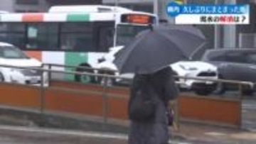 高知市で24時間雨量117ミリなど高知県内で久しぶりのまとまった雨 【高知】