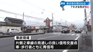 高知県南国市の国道交差点 女性が車にはねられ死亡【高知】