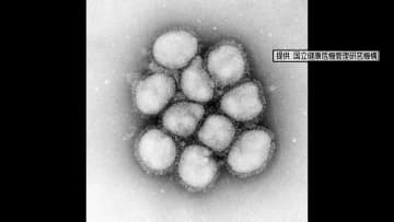 高知県内のインフルエンザ感染者数『18.26』 前の週と比べて横ばい【高知】