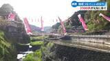 「約3500匹の小さなこいのぼり 高知県梼原町の山里を彩る【高知】」の画像1