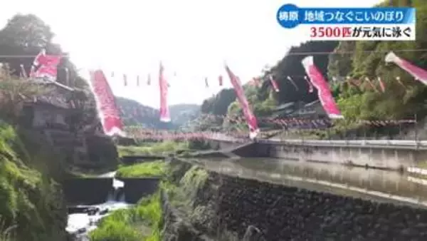 約3500匹の小さなこいのぼり 高知県梼原町の山里を彩る【高知】