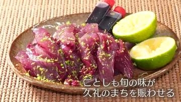 《モチモチですごくおいしい》人気の活きメジカ　新子漁【高知】