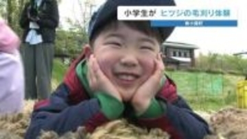衣替えのお手伝い　おそるおそるバリカンを手にして…　小学生が羊の「毛刈り」体験