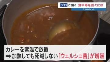 【食中毒注意報】加熱しても死滅しない？夏のカレーで増殖する「ウェルシュ菌」を防ぐ “30分の鉄則” とは