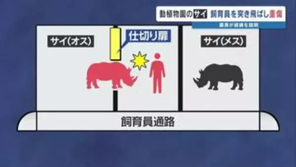 サイの角に突き上げられ飼育員が重傷　「動物の"スイッチ"がどう入るか 人間では分からない」　熊本市動植物園