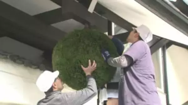 『れいざん』で馴染みの山村酒造に真新しい杉玉　新酒「生酒」「にごり酒」完成を告げる　熊本