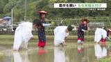 「天草で御田植祭　「渇水で田植え心配したが 五穀豊穣願う」」の画像1