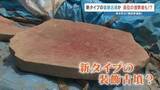 「ニュータイプの装飾古墳や"粘土郭"　諏訪原遺跡の調査で新たな発見が続々　熊本・和水町」の画像1