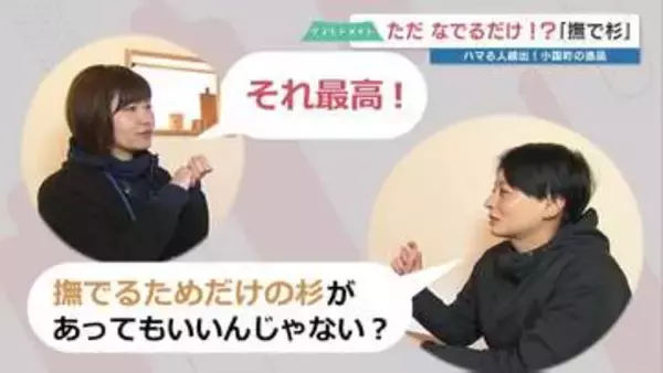 星野リゾートもアクティビティに採用　ハマる人続出！ 赤ちゃん肌のように吸い付く謎のアイテム「撫で杉」に大人が没頭してしまうワケ