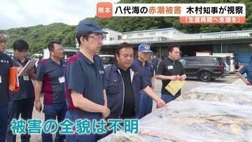 いまだ全貌は不明　八代海の赤潮被害で木村知事が視察　熊本・天草市