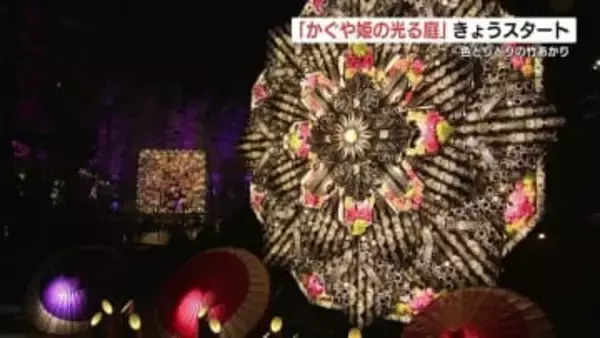 竹あかりが彩る「かぐや姫の光る庭」　サクラマチクマモトで5月末まで　熊本