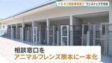 「野良猫の苦情、どこに言えばいい？　熊本県内の相談先を新設一本化　専用ダイヤル開設でワンストップ解決へ」の画像1