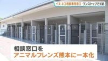 野良猫の苦情、どこに言えばいい？　熊本県内の相談先を新設一本化　専用ダイヤル開設でワンストップ解決へ