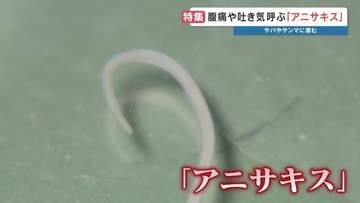 【世界初の電撃！】サバやサンマなどに潜む"アニサキス"食中毒　魚は焼かずに「寄生虫だけ」不活化する3万ボルトのパルスパワー装置を開発　熊本大学