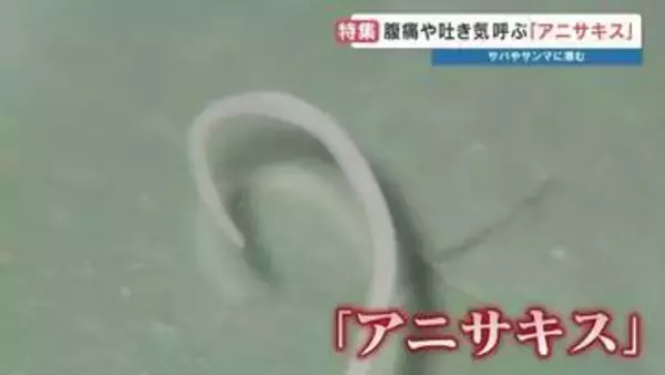 【世界初の電撃！】サバやサンマなどに潜む"アニサキス"食中毒　魚は焼かずに「寄生虫だけ」不活化する3万ボルトのパルスパワー装置を開発　熊本大学