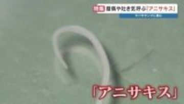 【世界初の電撃！】サバやサンマなどに潜む"アニサキス"食中毒　魚は焼かずに「寄生虫だけ」不活化する3万ボルトのパルスパワー装置を開発　熊本大学