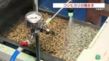 渇水の影響は？　天草市で早期米の種まき　熊本