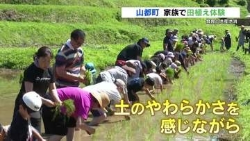 オタマジャクシもいた！国宝 通潤橋を眺めながら　田植え体験
